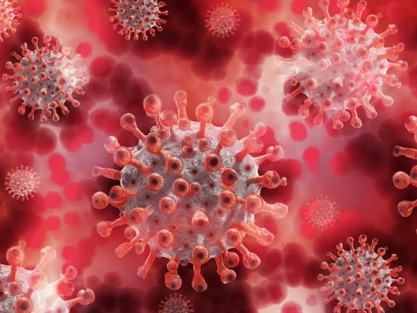 Броят на случаите на зараза с новия коронавирус в САЩ