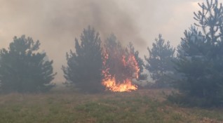 Пожар обхвана над 1000 декара сухи треви и иглолистна гора