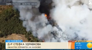 Към момента ситуацията с пожара в Хасковско е спокойна тъй