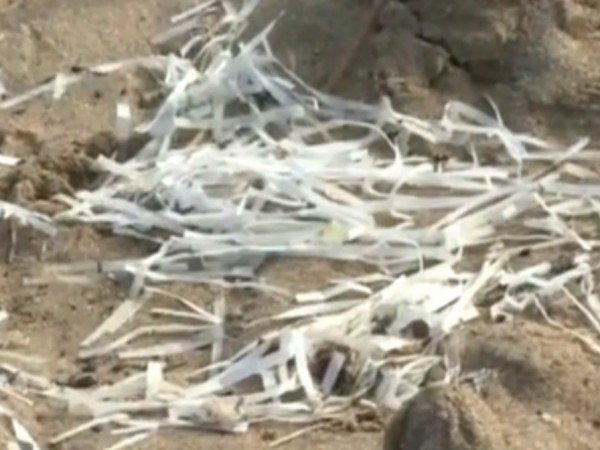Бели лентички са изхвърлени от морето на редица плажове като