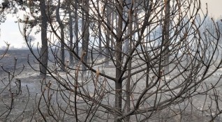 Всички пожари в област Хасково са потушени Това съобщи областният