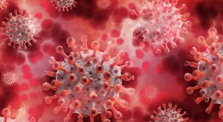 Пет от шестте нови положителни резултати за заразяване с коронавирус