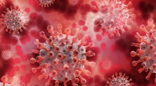 Общо 210 са новите случаи на коронавирус за последните 24