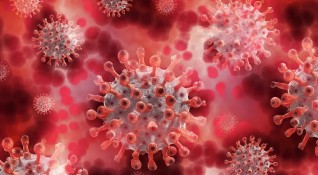 Как коронавирусът засегна най важния човешки орган сърцето Проучване установи