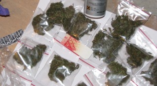 Солидно количество марихуана бе иззето от служители на група Криминална