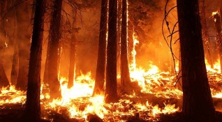 Екстремален индекс за опасност от пожари е в сила за