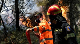 Голям пожар гори на гръцкия полуостров Пелопонес Няма данни за
