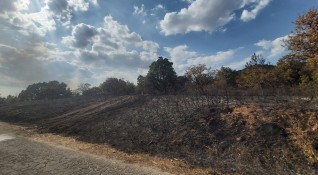 Пожарът край Свиленград се разраства пламъците са обхванали смесена гора