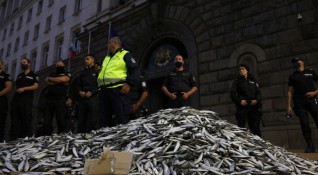 Протестиращи изсипаха кашони със замразена риба пред Министерски съвет тази