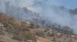 Големият пожар който избухна вчера в Сливенско между селата Селиминово