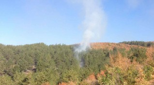 Потушен е пожарът край сливенските села Селиминово и Голямо Чочовени