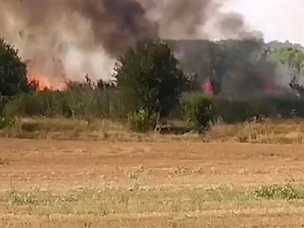 Пожар затвори магистрала „Марица”. Горят сухи треви и храсти край