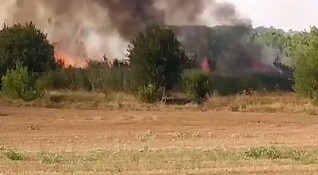 Пожар затвори магистрала Марица Горят сухи треви и храсти край