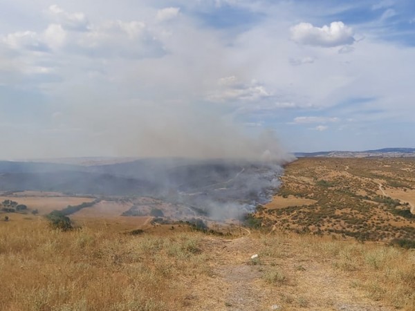 Всички пожари на територията на страната са под контрол, включително