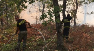 Пожар пламна в гориста местност край Девин Огънят е обхванал