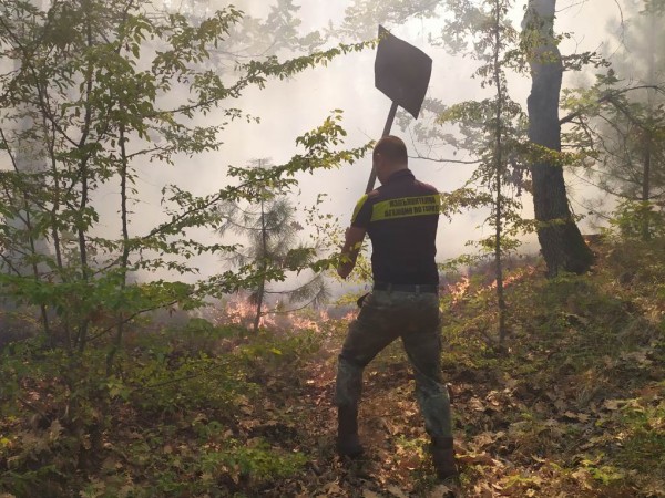 Трети ден продължава гасенето на горския пожар край Девин, който