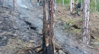 Бушувалият голям горски пожар край Девин е бил причинен от