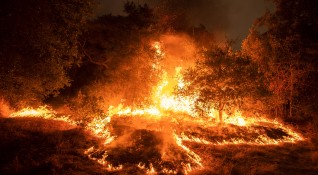 Опустошителни пожари продължават да бушуват по Западното крайбрежие на САЩ