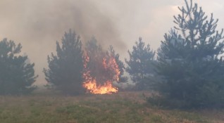 Три пожара горят в момента в Хасковска област Пожарът при
