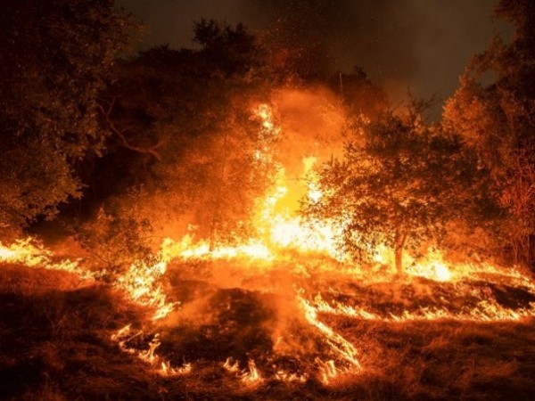 Десетки пожари продължават да бушуват в западната част на САЩ,