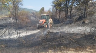 Пожар е изпепелил над 100 декара гори и лозови масиви