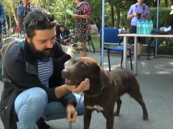 Кучетата от общинския приют в Бургас намериха своят нов дом.
