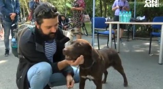 Кучетата от общинския приют в Бургас намериха своят нов дом