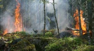Екстремален индекс за пожароопасност е обявен за територии от седем