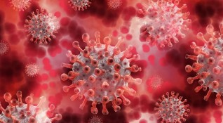 Четирима на всеки петима души заразени с новия коронавирус развиват