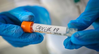 290 са новите потвърдени случаи на коронавирус за изминалите 24