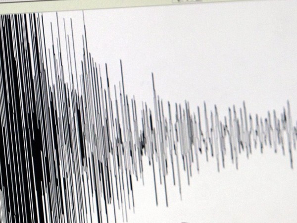 Земетресение с магнитуд 4,6 бе регистрирано в Адриатическо море, близо