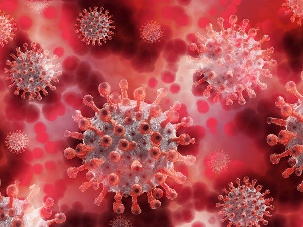 "Коронавирусната инфекция се разпространява на първо място – по фекално-оралния