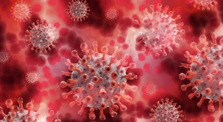 Коронавирусната инфекция се разпространява на първо място по фекално оралния