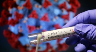 395 са новите доказани случаи на заразени с коронавирус през