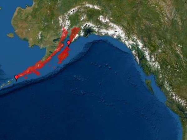 Земетресението от 7,1 по Рихтер, които разтресе Аляска, е предизвикало