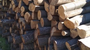 За последните 5 години използването на дърва за огрев е