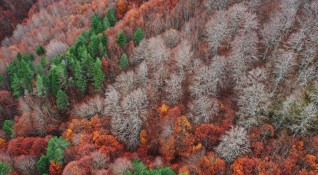 Багрите на есента от планински масив в Испания Снимка БГНЕСПо