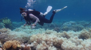 Австралийски учени са открили масивен нов коралов риф по висок от