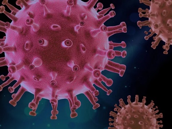 Малко, но ключово британско изследване установи, че "клетъчният имунитет" срещу