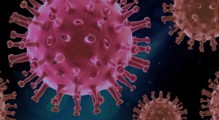 Малко но ключово британско изследване установи че клетъчният имунитет срещу