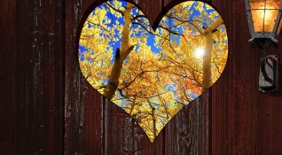 Есенният месец ноември е идеалното време за романтика и започване
