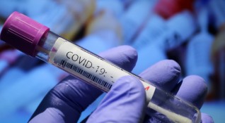 Германия вижда предварителни признаци че нарастването на коронавирусните инфекции може