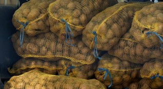 Картофи по 25 стотинки се внасят у нас от Гърция