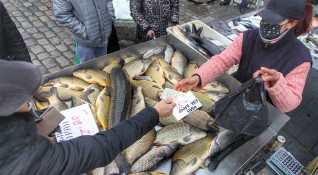 Броени дни преди Никулден какви са цените на рибата