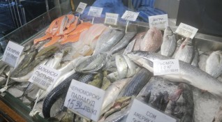 Традиционно шаранът си остава най купуваната риба Пъстървата е втора по