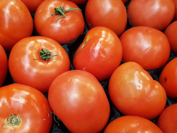 Япония одобри продажбата в страната на генномодифицирани домати, съобщи ТАСС,