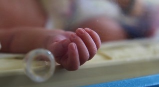 Изследване в Сингапур отчете че всички пет бебета родени от