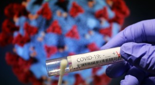 Новите случаи на коронавирус в България за последното денонощие са