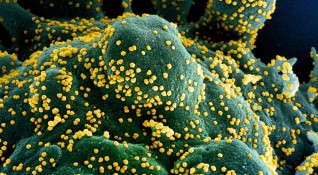 За имунитета след преболедуване на COVID има доста фактори Оказа