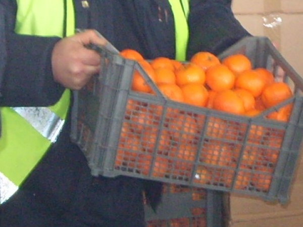 Най-разпространените цитрусови плодове по това време на годината като портокали,
